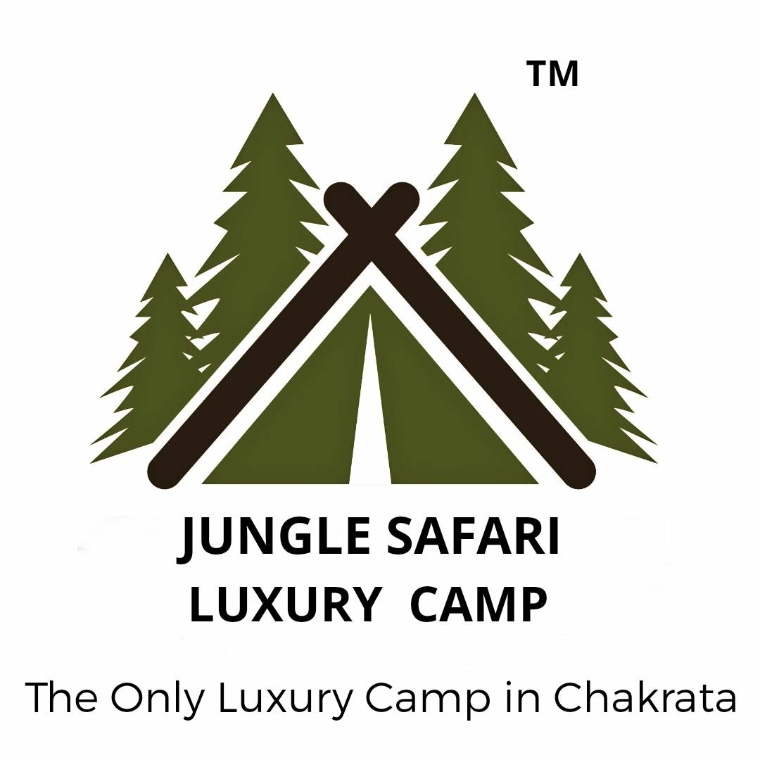 Logo 11